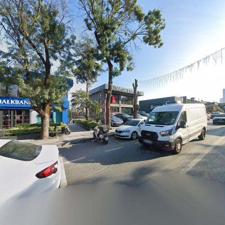 Fotoğraf 13