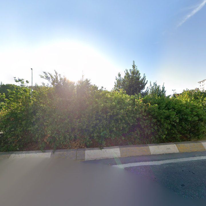 Fotoğraf 17