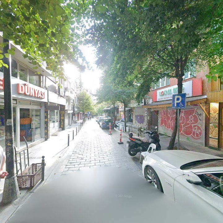 Fotoğraf 12