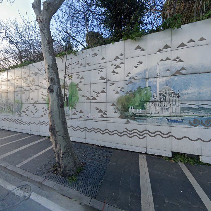 Fotoğraf 12