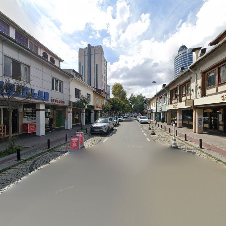 Fotoğraf 12