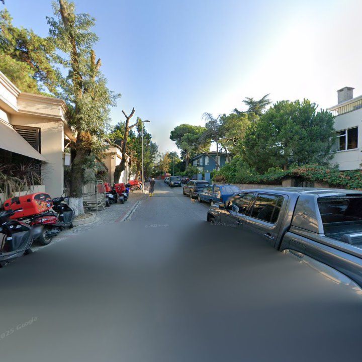 Fotoğraf 15