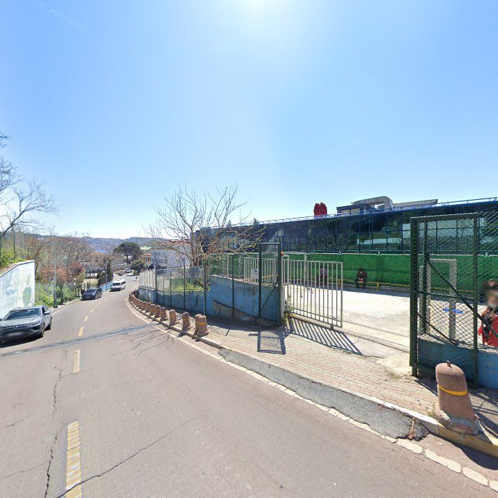 Fotoğraf 10
