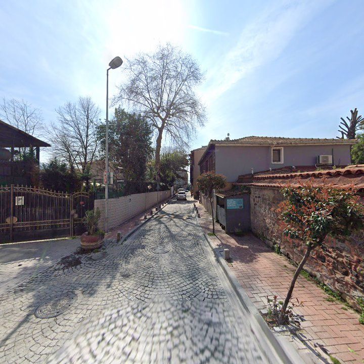 Fotoğraf 13
