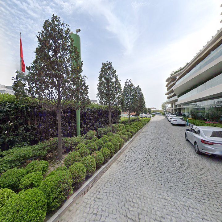 Fotoğraf 12