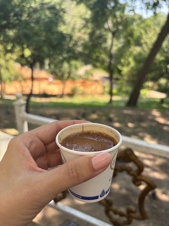 Fotoğraf 8