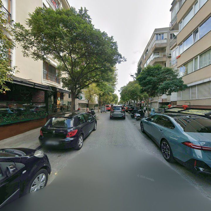 Fotoğraf 15
