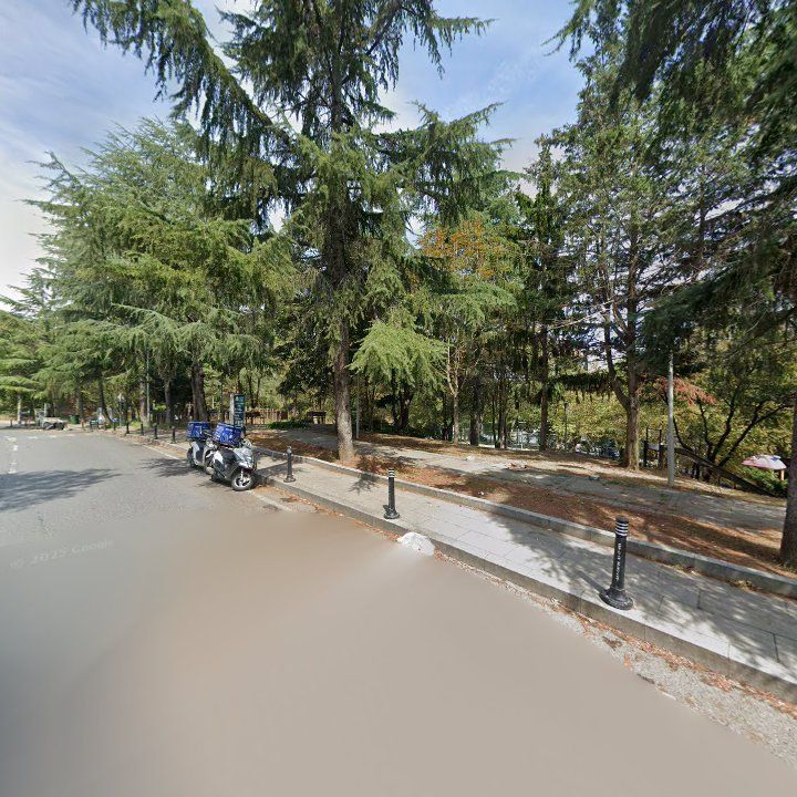 Fotoğraf 15