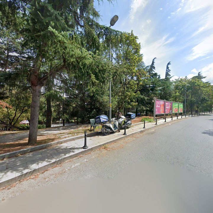 Fotoğraf 16