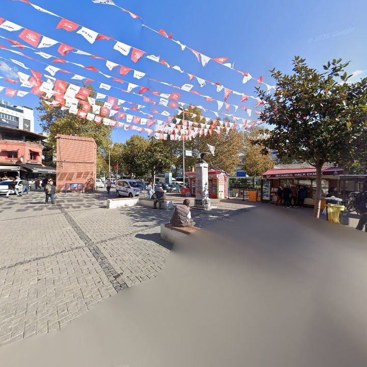 Fotoğraf 11