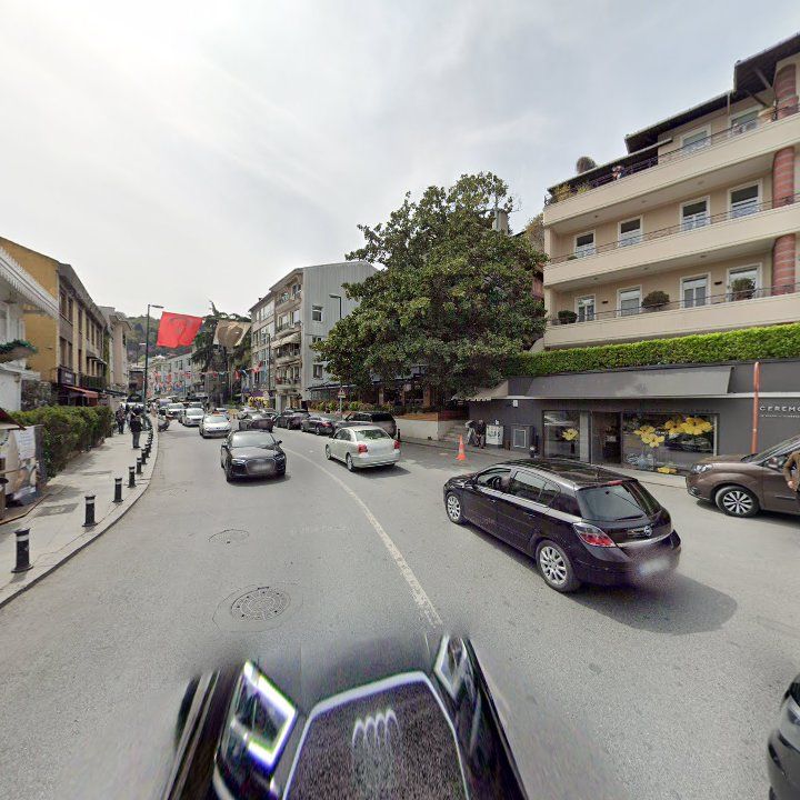 Fotoğraf 11