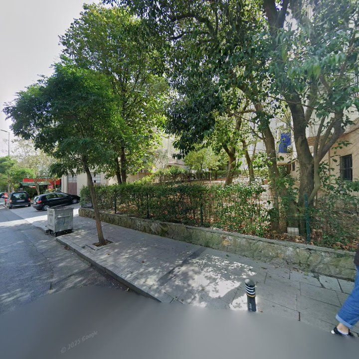 Fotoğraf 12