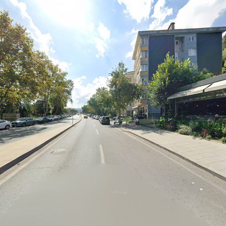 Fotoğraf 13