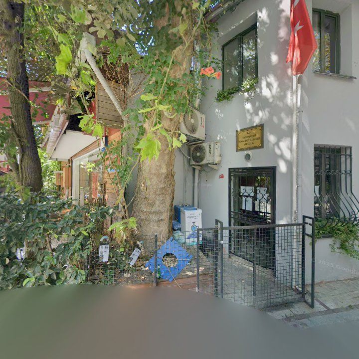 Fotoğraf 8
