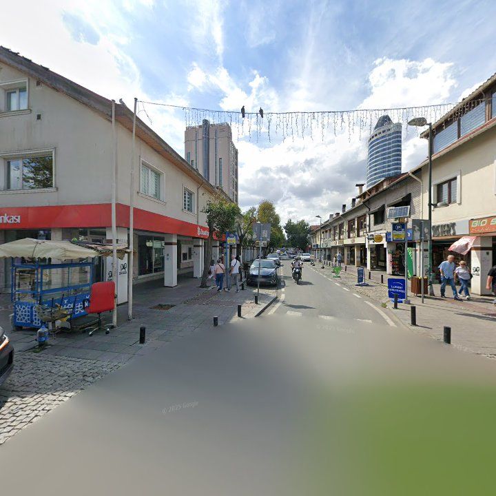 Fotoğraf 12