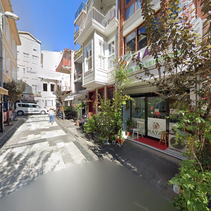 Fotoğraf 11
