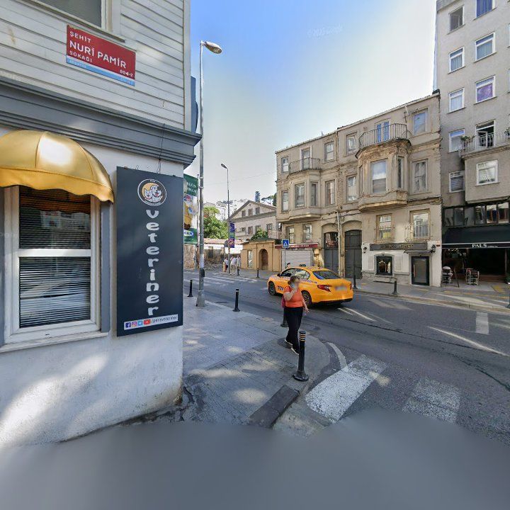 Fotoğraf 8