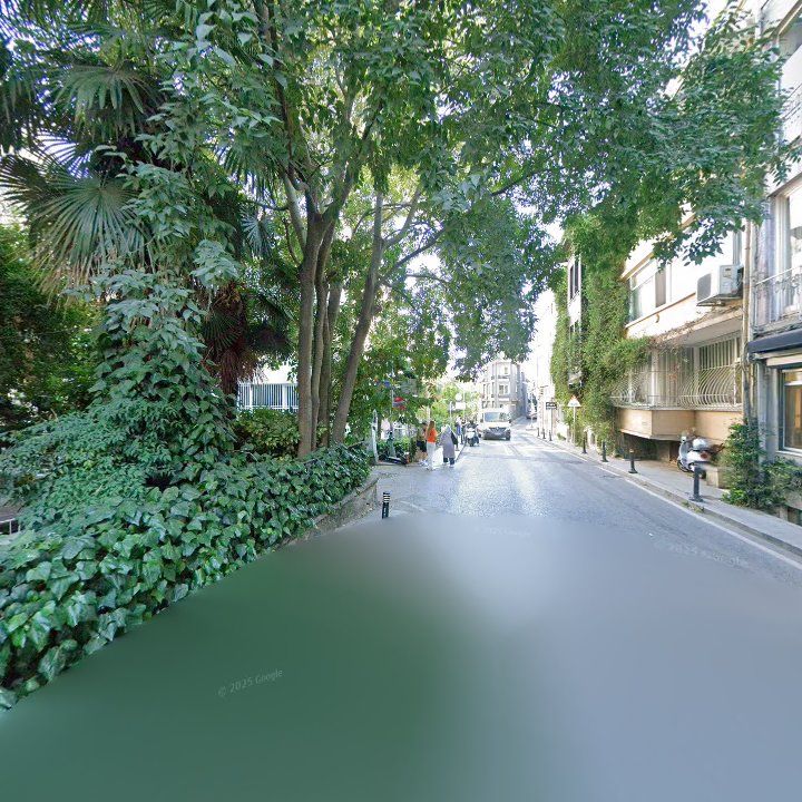 Fotoğraf 12