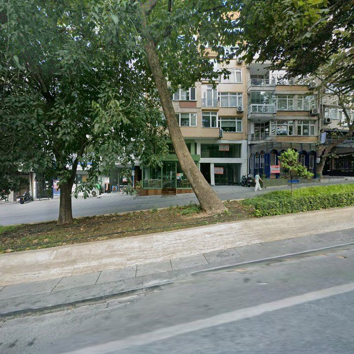 Fotoğraf 15