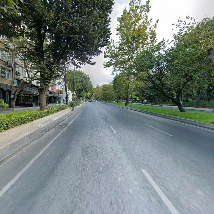 Fotoğraf 16