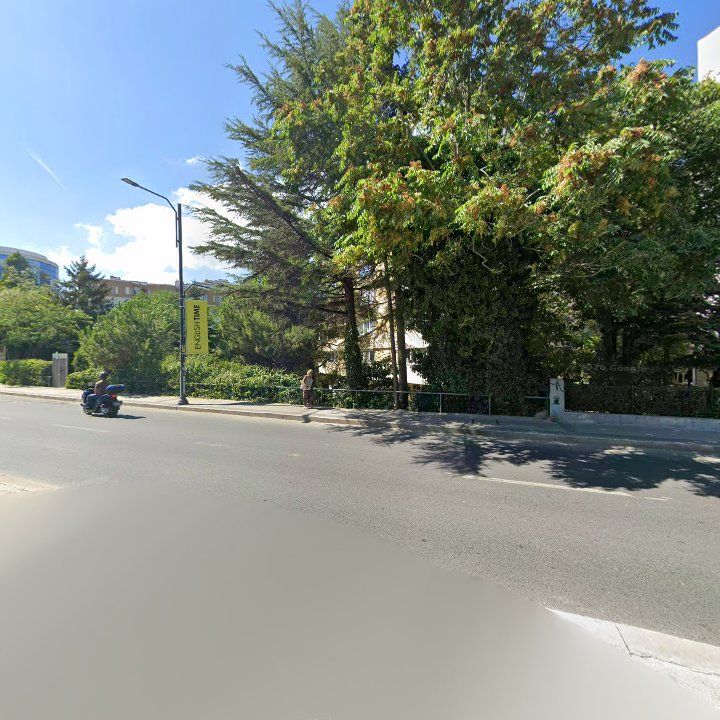 Fotoğraf 12