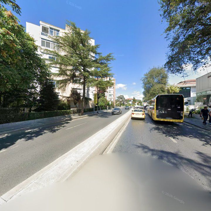 Fotoğraf 13