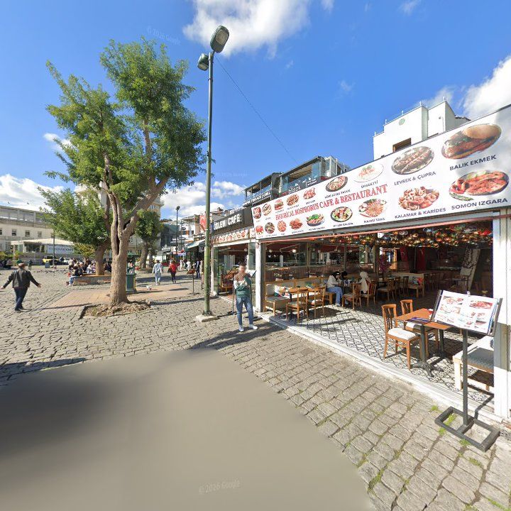Fotoğraf 11