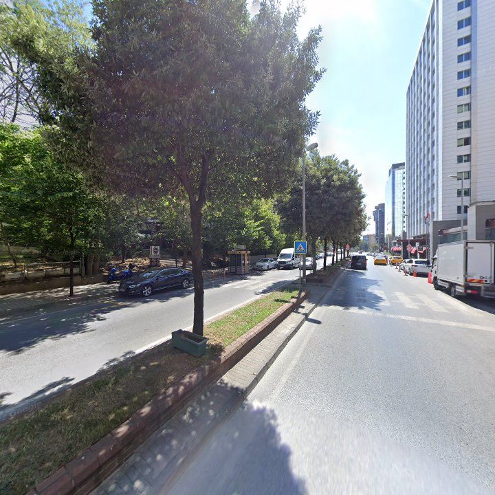 Fotoğraf 12