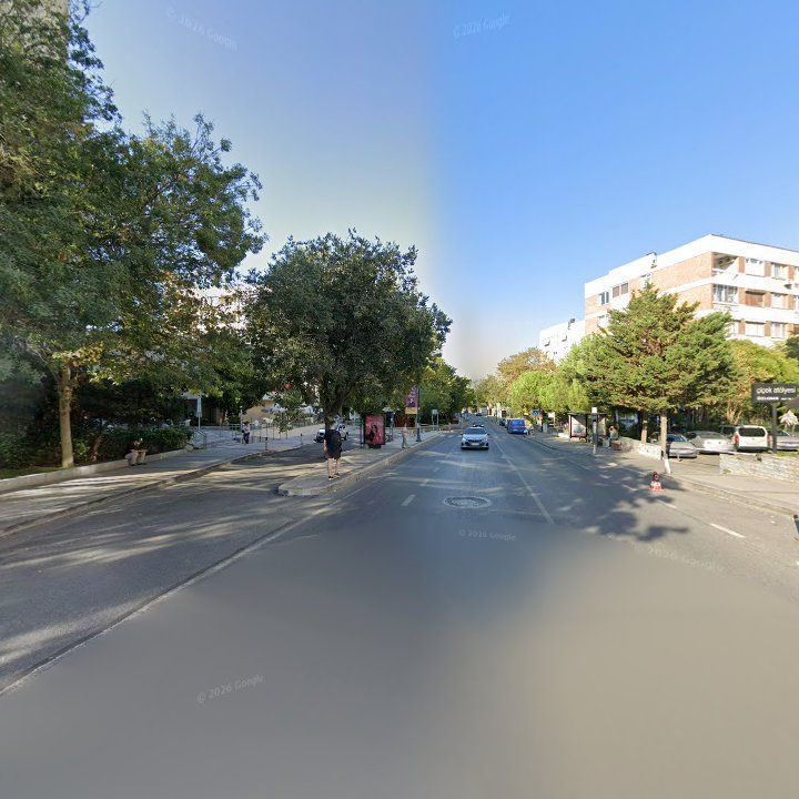 Fotoğraf 12