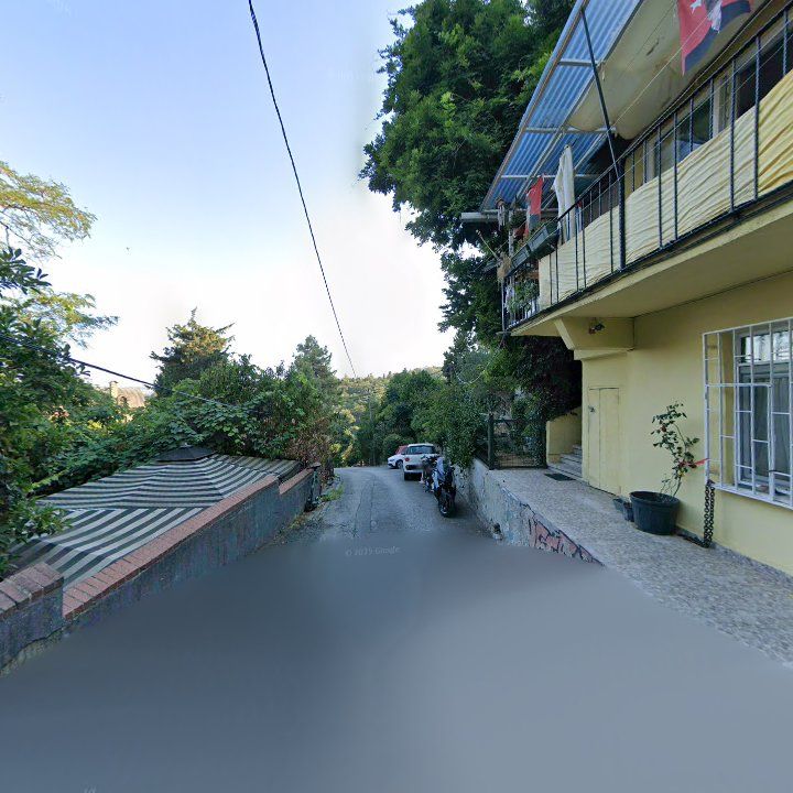 Fotoğraf 13