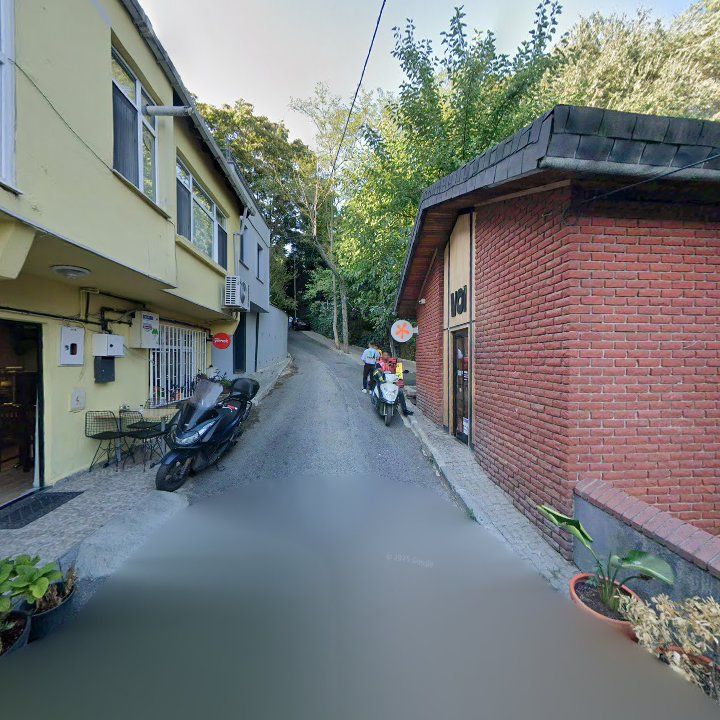 Fotoğraf 15