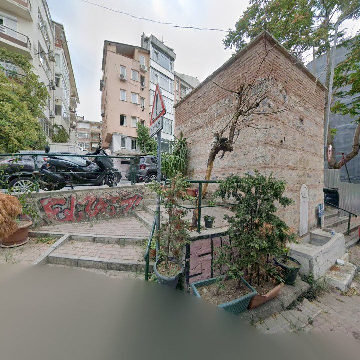 Fotoğraf 7