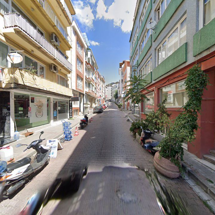 Fotoğraf 9