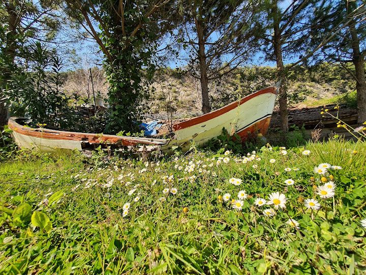 Yorum fotoğrafı 4