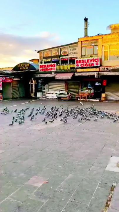 Fotoğraf 17