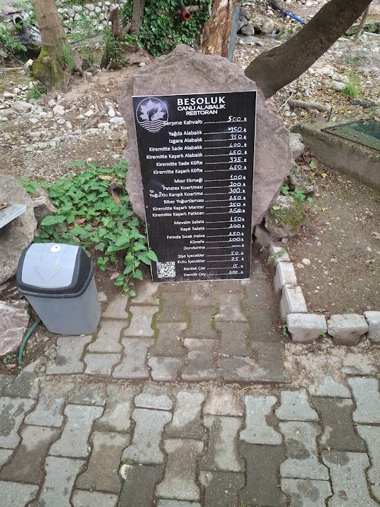 Fotoğraf 33