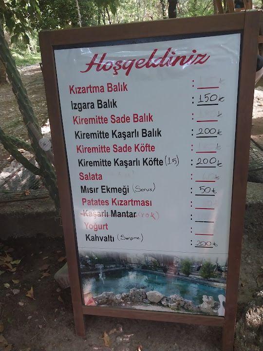 Fotoğraf 36