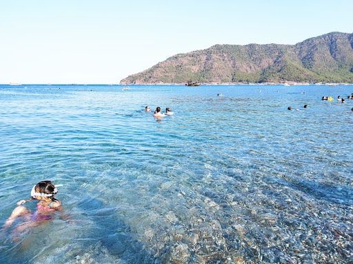 Fotoğraf 41