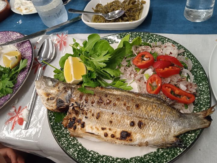 Fotoğraf 21