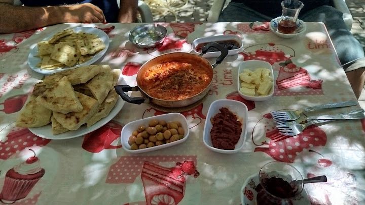 Fotoğraf 11
