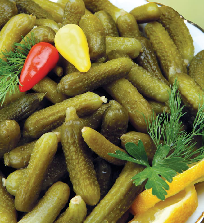 Fotoğraf 14