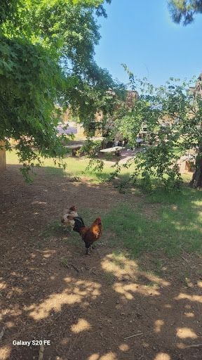 Yorum fotoğrafı 10