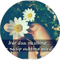 Betul Aydin