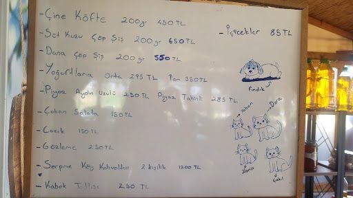 Fotoğraf 41