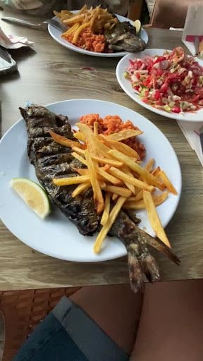 Fotoğraf 21