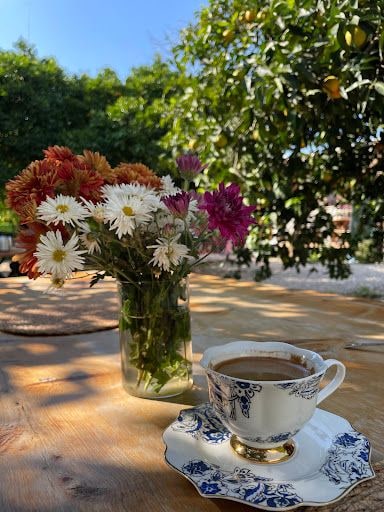 Fotoğraf 29