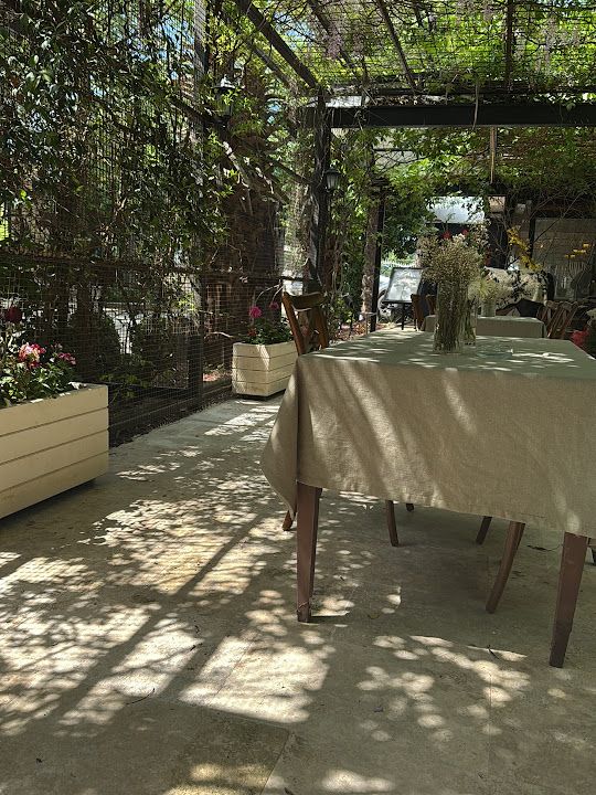 Fotoğraf 25
