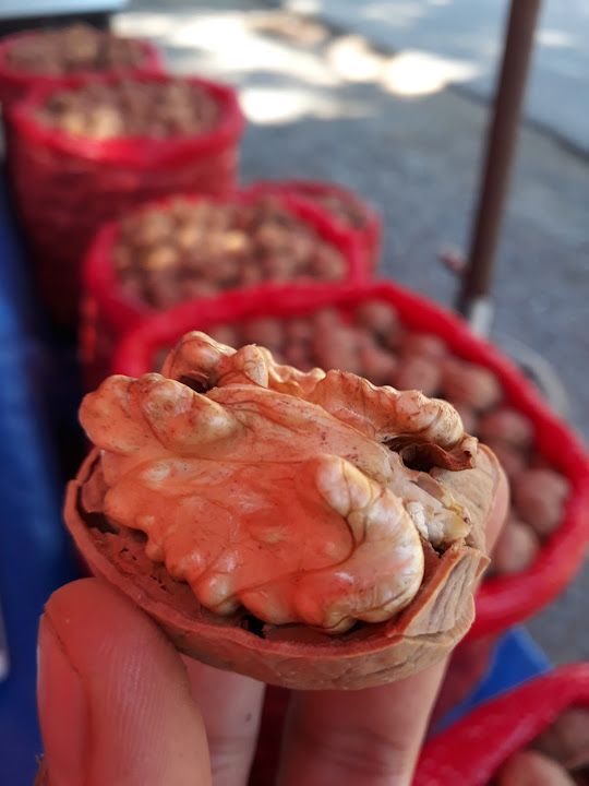 Fotoğraf 17