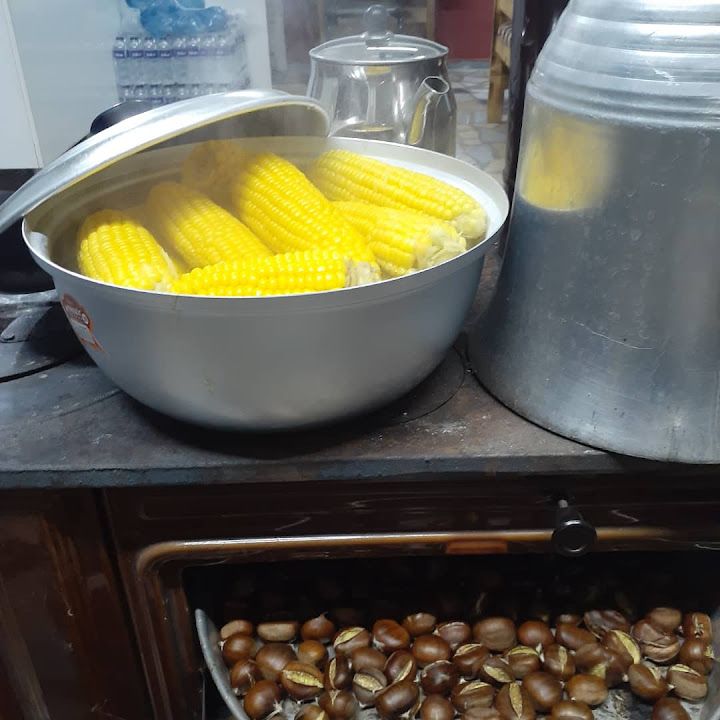 Fotoğraf 14