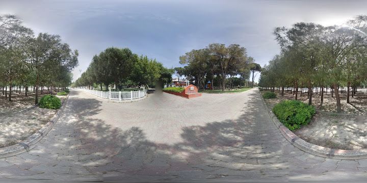 Fotoğraf 15